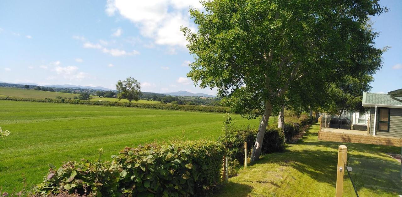 19 Park Views Just Outside Penrith For Holidays And Short Breaks Please No Commercial Vans Thankyou High Hesket Extérieur photo